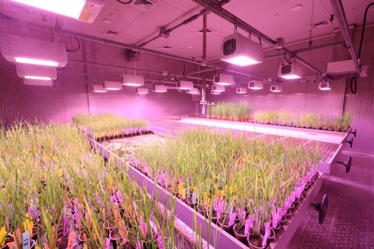 full spectrum led herbs