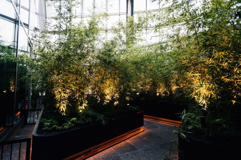 grow herbs indoors without sunlight
