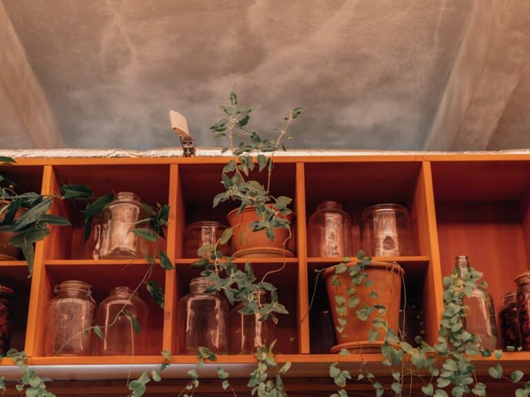 herb containers for kitchen
