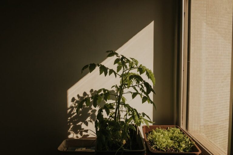 growing food in small spaces