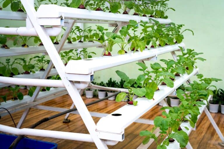 indoor vertical herb garden