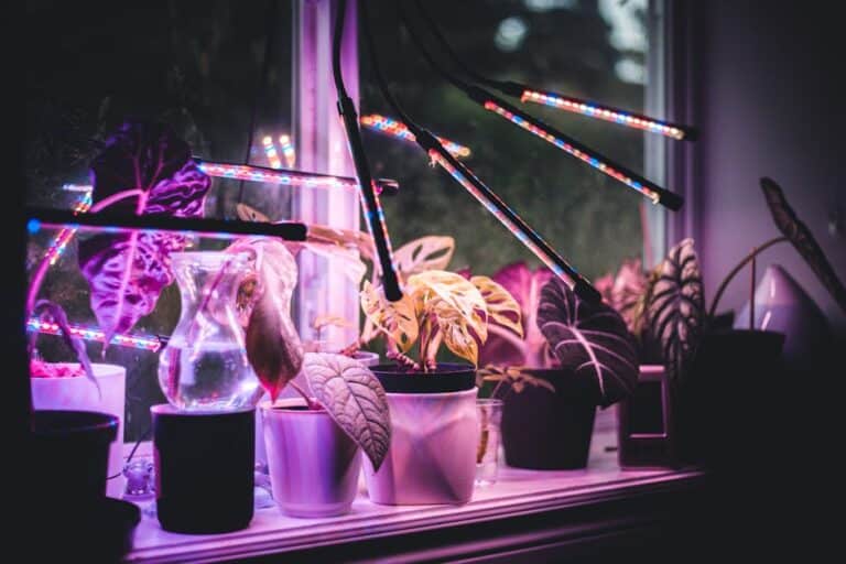 full spectrum herb lights