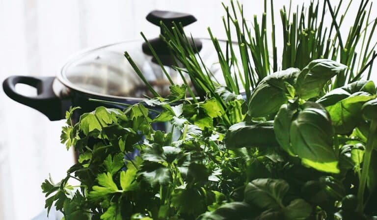 herb garden for kitchen window