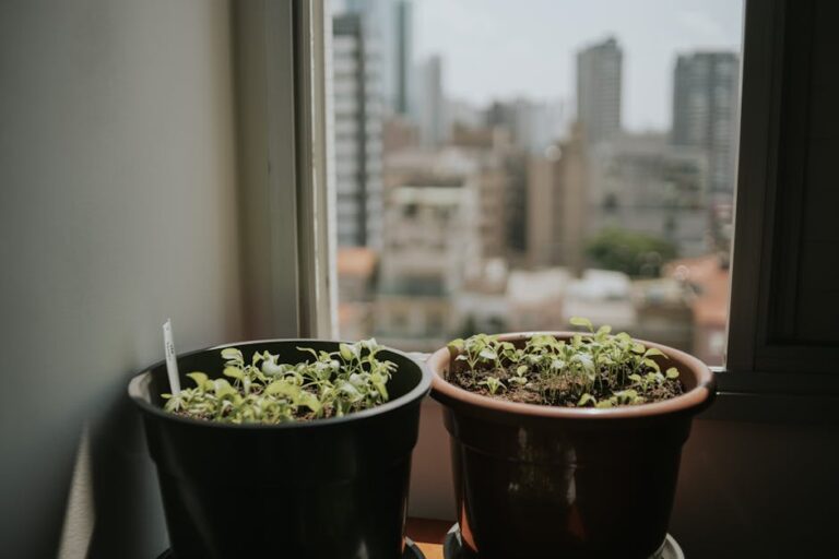 DIY herb garden apartment